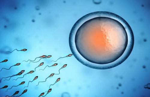 沧州供卵助孕包男孩价格：单身男子仍可实现做父亲的梦想--在日本通过精子捐赠(图1)